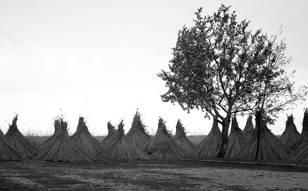 Wigwams?