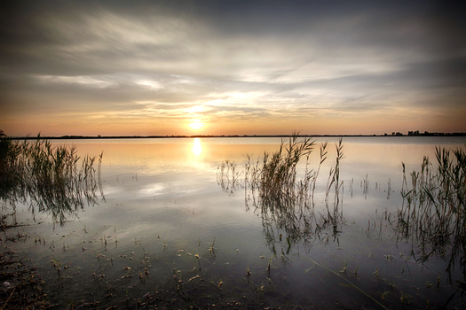 Sonnenuntergang im Nationalpark Neusiedler See