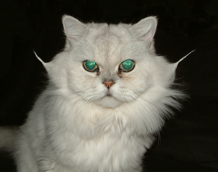 wer ist das ?