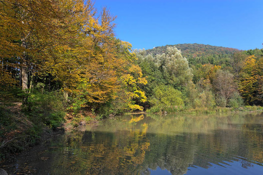 Sparbach
