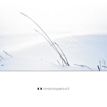 winter.reload.