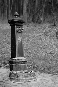 Alter Brunnen