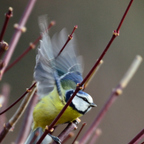Abflug