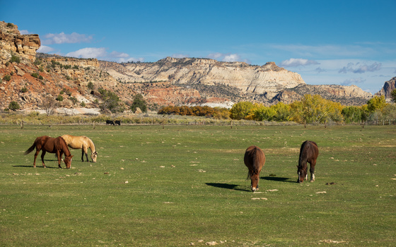 Escalante National Monument II
