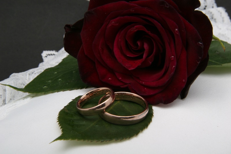 The Rose