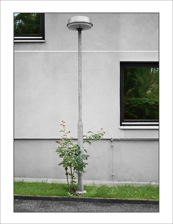 urbane vegetation - reload