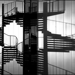 the shadow