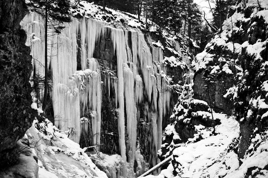 Winterwonderland