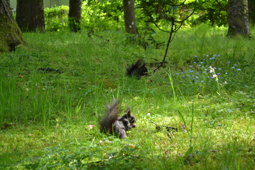 Mahlzeit