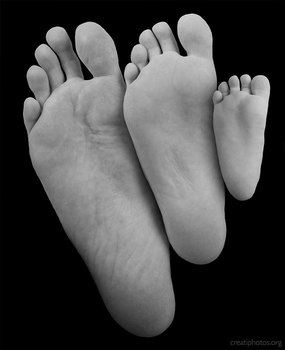 Family Footprint
