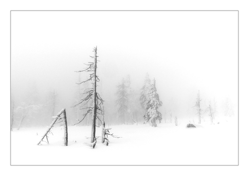 Stille