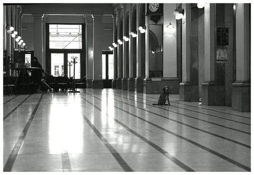 Waiting ...