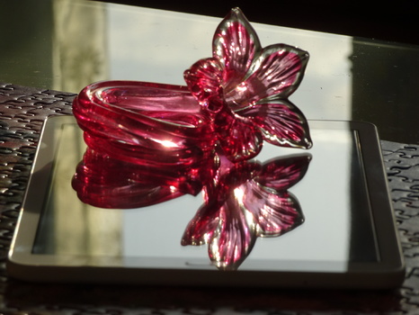 Blumenspiegel