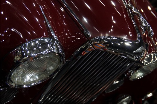 Jaguar