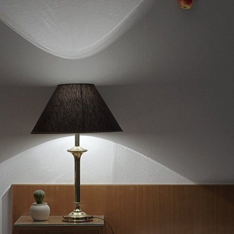 Kaktus mit Lampe und Traum