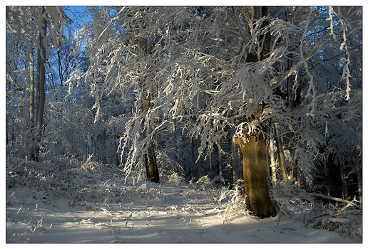 winter 1