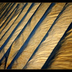 Streif[en]Licht