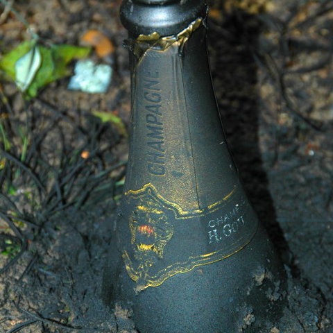 Prosit 2007