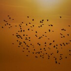 Abflug