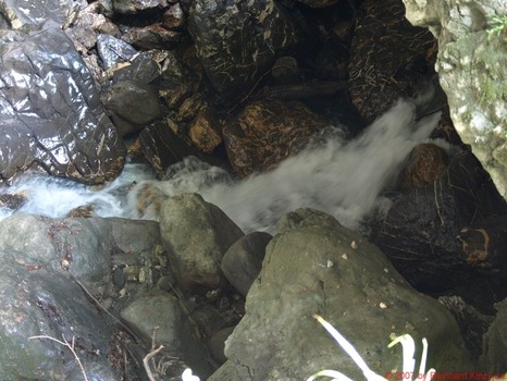 Rappenlochschlucht 1