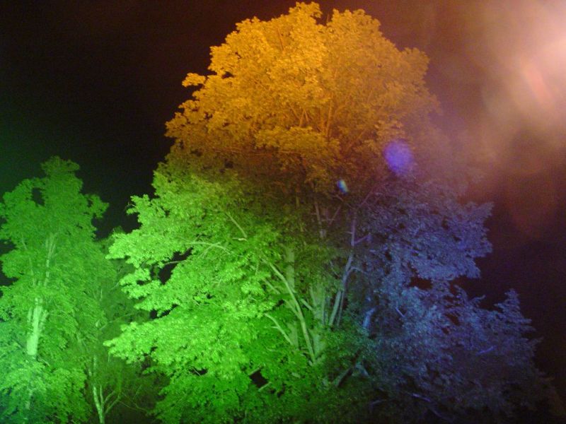 Leuchtender Baum