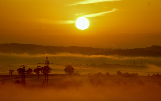 Am Morgen