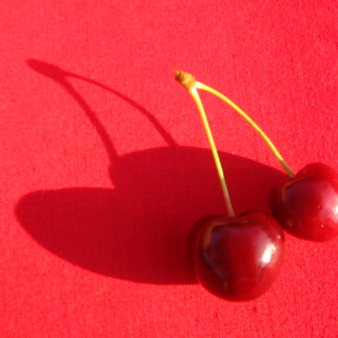 rot auf rot