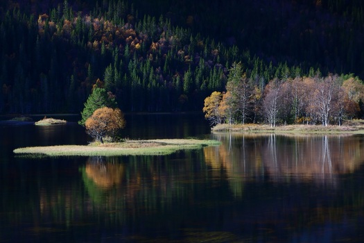 Licht...