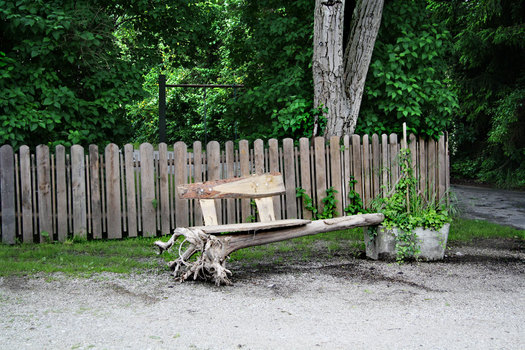 Baum unter Bank