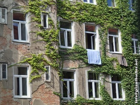 Windows