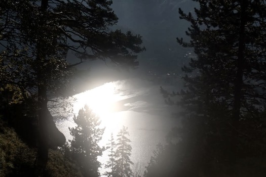 Morgensonne