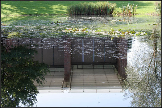 Fondation Beyeler IV