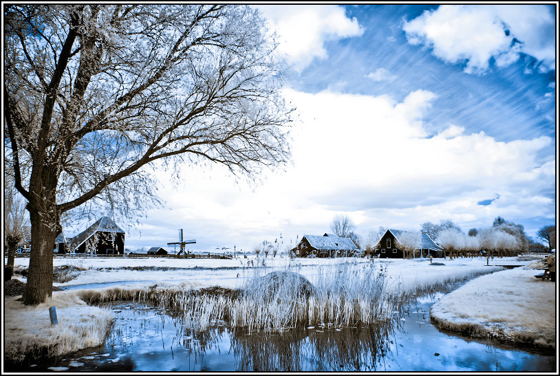 Zaanse Scans
