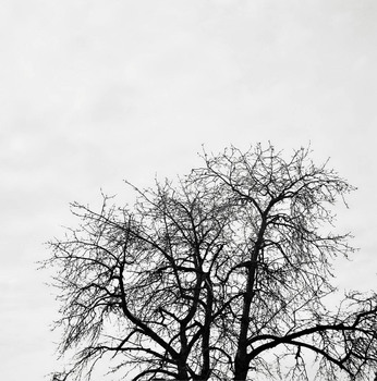 Kälte