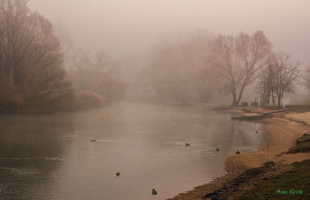 Die Leitha im Nebel 2 (H)