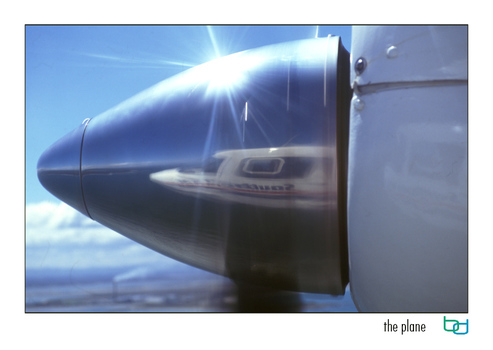 the plane