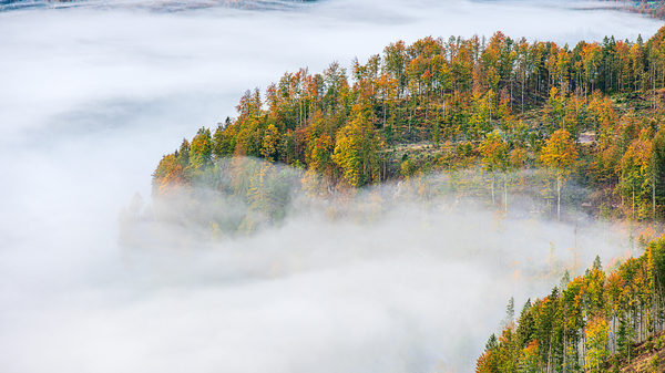 Almsee - Nebelsuppe