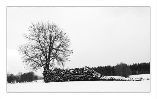 Waldviertel