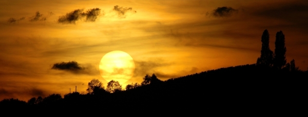 Sonnenuntergang Weinstrasse 2006
