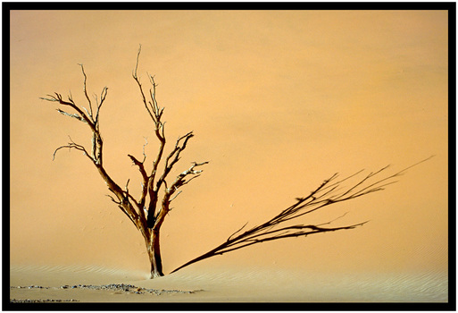 Sossus Vlei
