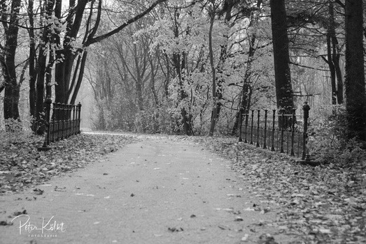 Herbst