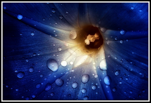 Raindrops