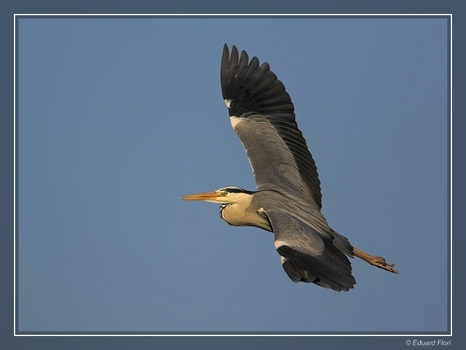 allein beim fliegen...