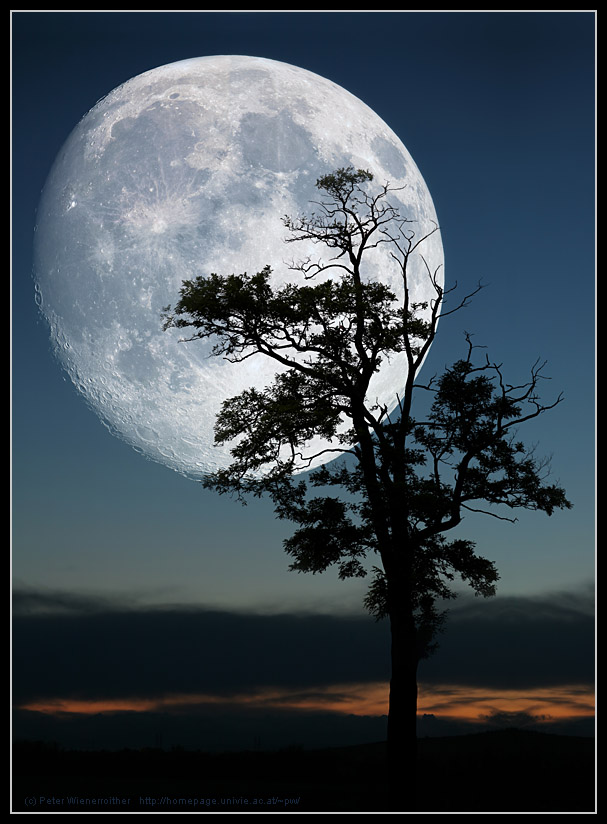 Big Moon