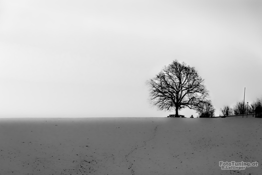 Minimalistic