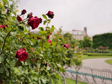 Im Volksgarten