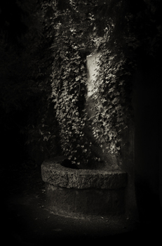 Der alte Brunnen