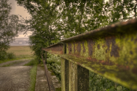 HDR
