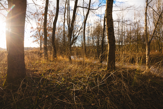 nach dem Winter