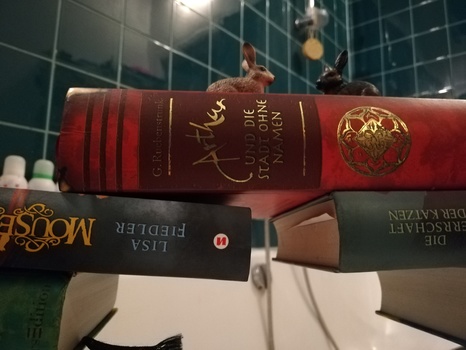 Bücherbrücke über Badewannenrand